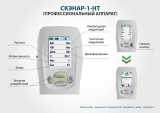 СКЭНАР-1-НТ (исполнение 01)  в Звенигороде купить Медицинский интернет магазин - denaskardio.ru 
